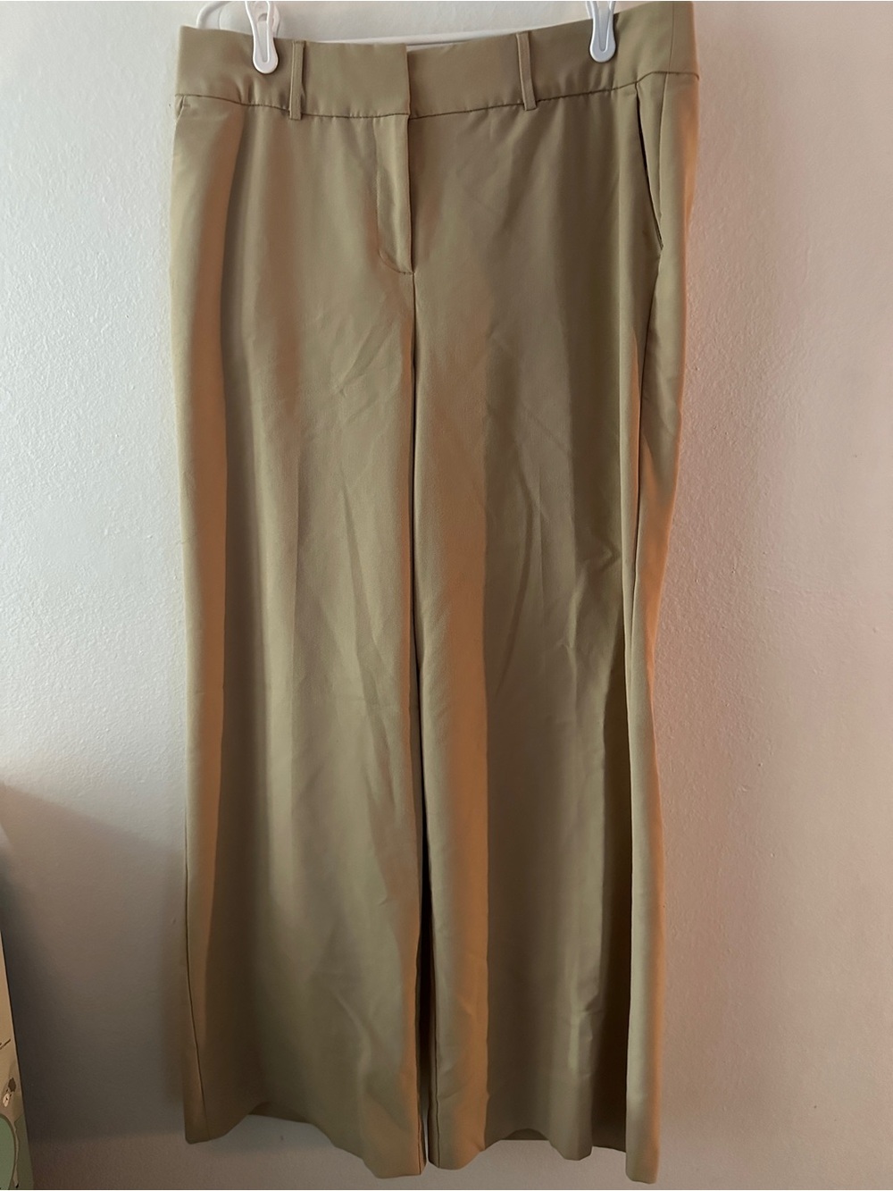 Lane Bryant Pants